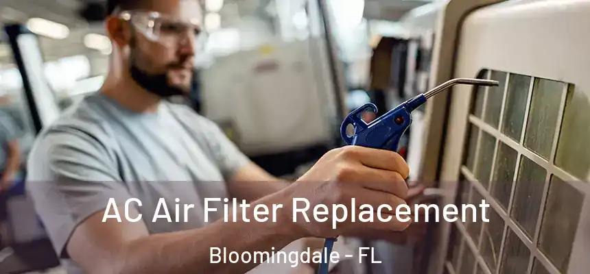 AC Air Filter Replacement Bloomingdale - FL
