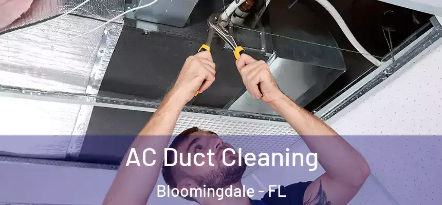  AC Duct Cleaning Bloomingdale - FL
