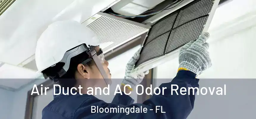 Air Duct and AC Odor Removal Bloomingdale - FL