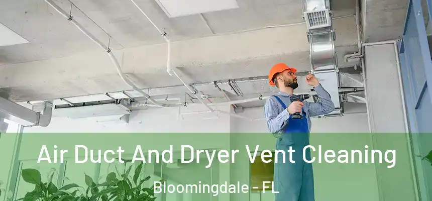  Air Duct And Dryer Vent Cleaning Bloomingdale - FL