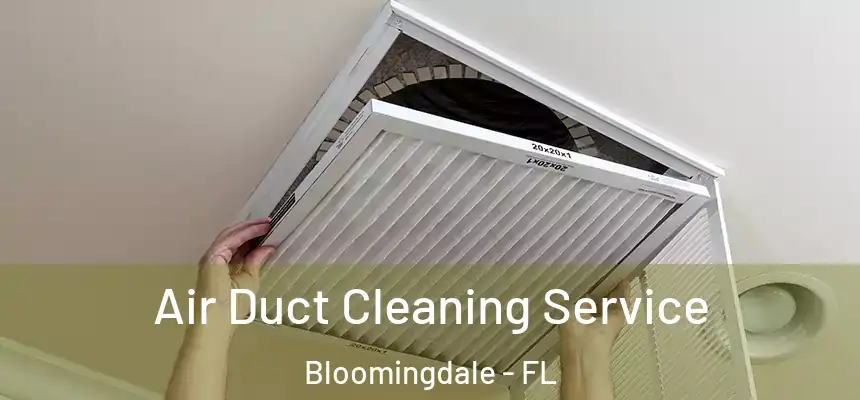 Air Duct Cleaning Service Bloomingdale - FL
