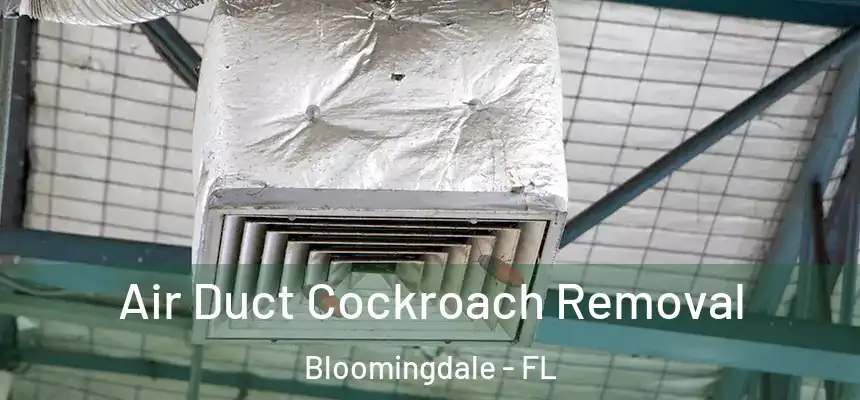 Air Duct Cockroach Removal Bloomingdale - FL