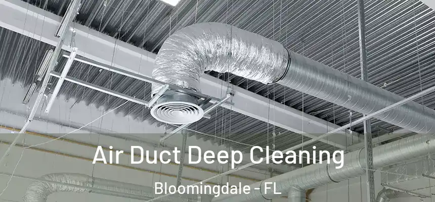 Air Duct Deep Cleaning Bloomingdale - FL