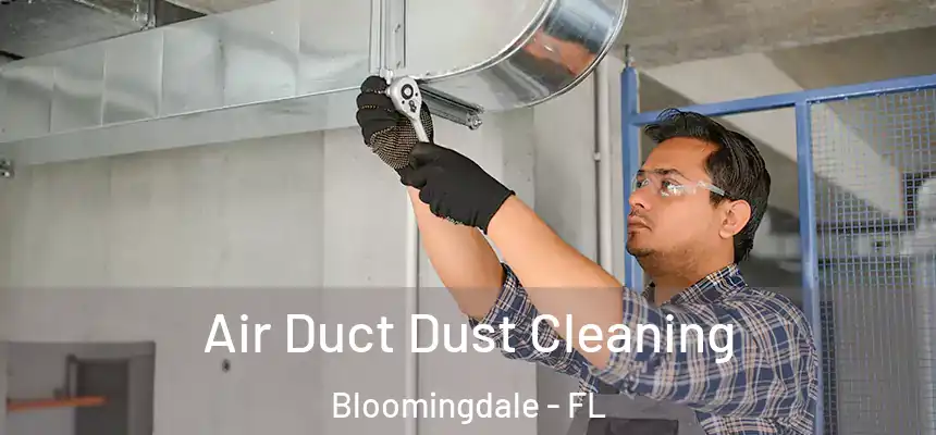 Air Duct Dust Cleaning Bloomingdale - FL