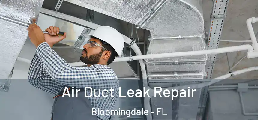  Air Duct Leak Repair Bloomingdale - FL