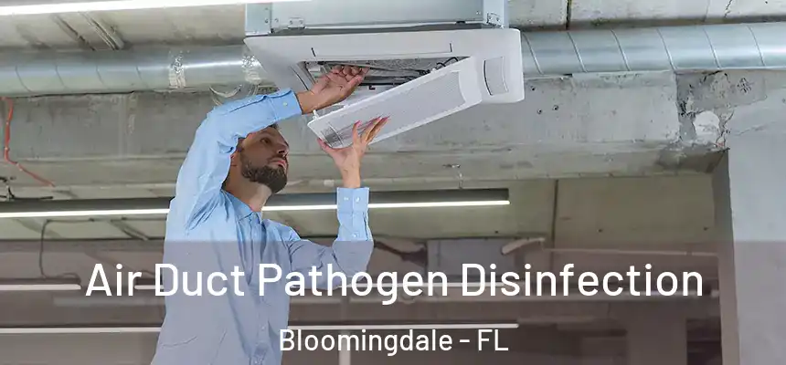 Air Duct Pathogen Disinfection Bloomingdale - FL