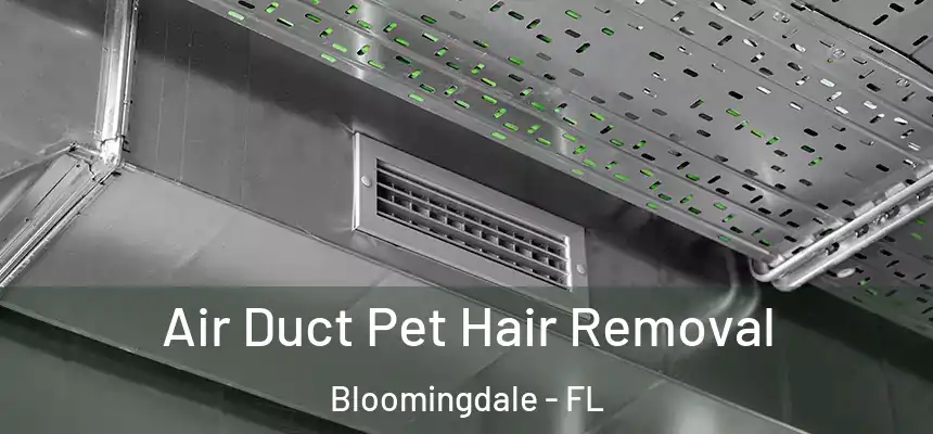 Air Duct Pet Hair Removal Bloomingdale - FL