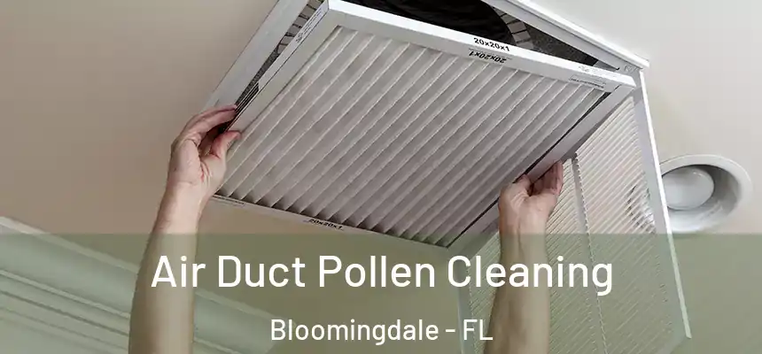 Air Duct Pollen Cleaning Bloomingdale - FL