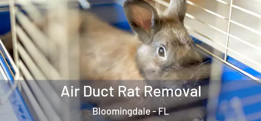 Air Duct Rat Removal Bloomingdale - FL
