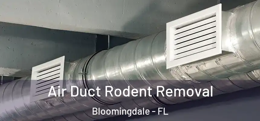 Air Duct Rodent Removal Bloomingdale - FL