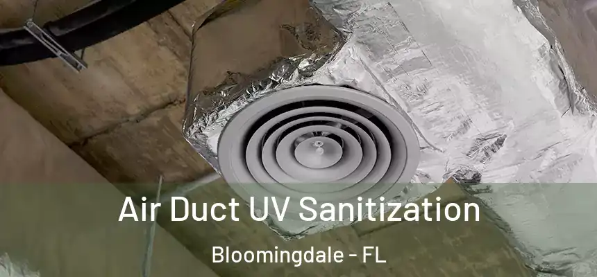 Air Duct UV Sanitization Bloomingdale - FL