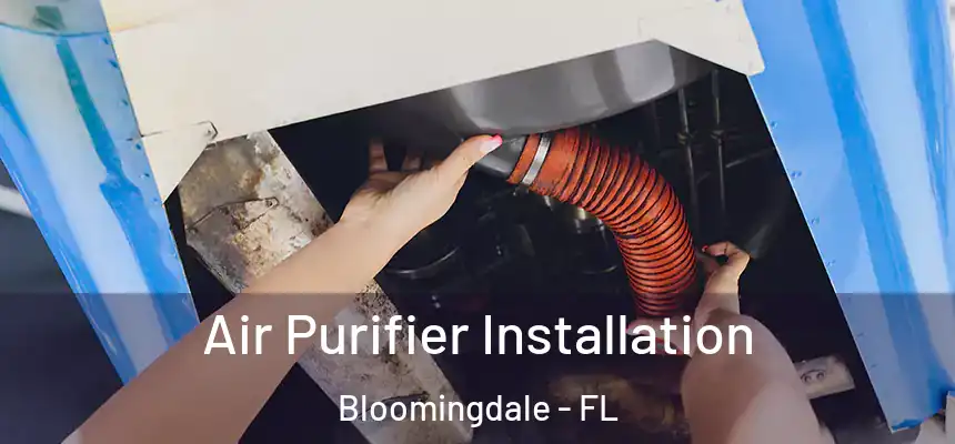 Air Purifier Installation Bloomingdale - FL