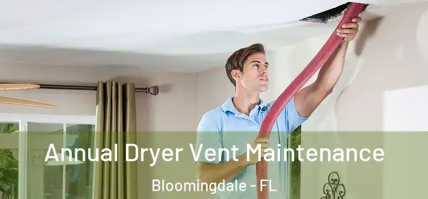 Annual Dryer Vent Maintenance Bloomingdale - FL