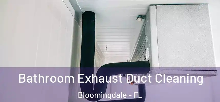  Bathroom Exhaust Duct Cleaning Bloomingdale - FL
