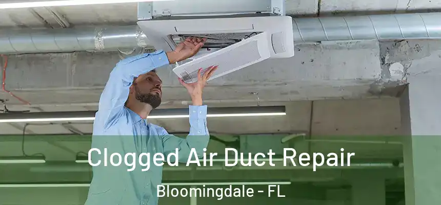 Clogged Air Duct Repair Bloomingdale - FL