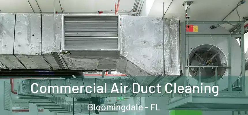  Commercial Air Duct Cleaning Bloomingdale - FL