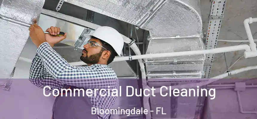  Commercial Duct Cleaning Bloomingdale - FL