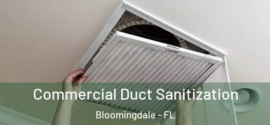 Commercial Duct Sanitization Bloomingdale - FL