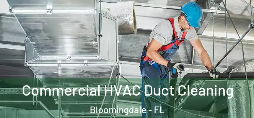  Commercial HVAC Duct Cleaning Bloomingdale - FL