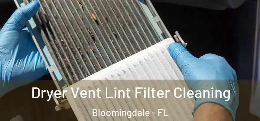 Dryer Vent Lint Filter Cleaning Bloomingdale - FL