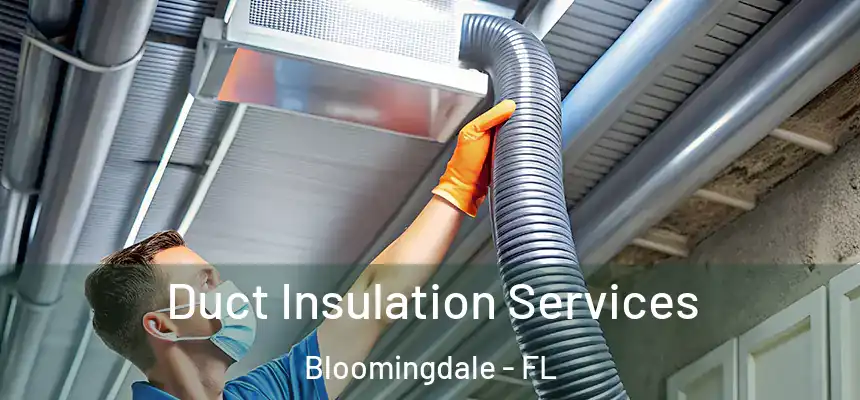 Duct Insulation Services Bloomingdale - FL