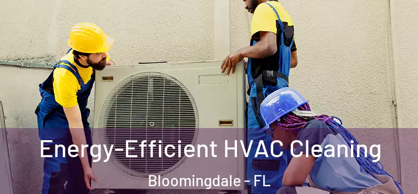 Energy-Efficient HVAC Cleaning Bloomingdale - FL