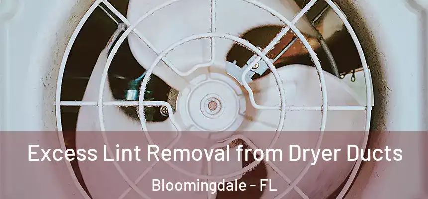 Excess Lint Removal from Dryer Ducts Bloomingdale - FL