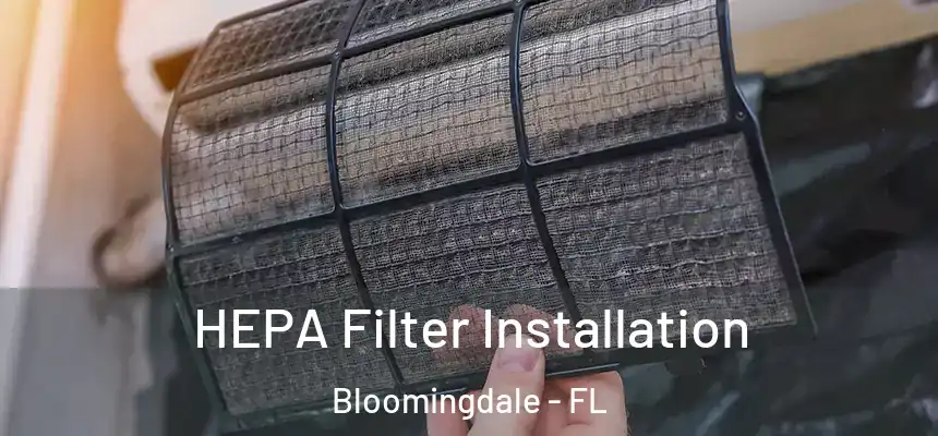 HEPA Filter Installation Bloomingdale - FL