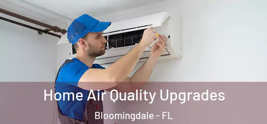 Home Air Quality Upgrades Bloomingdale - FL