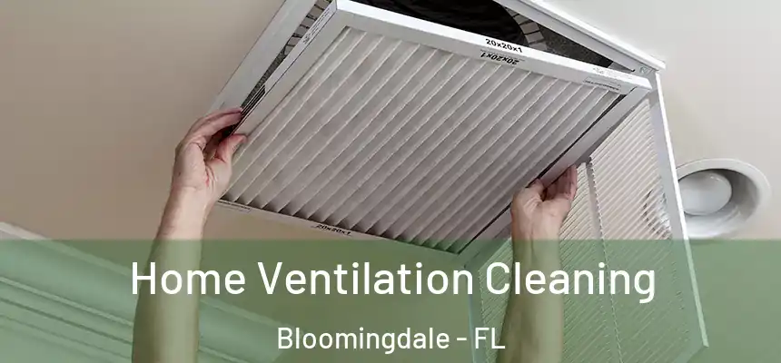 Home Ventilation Cleaning Bloomingdale - FL