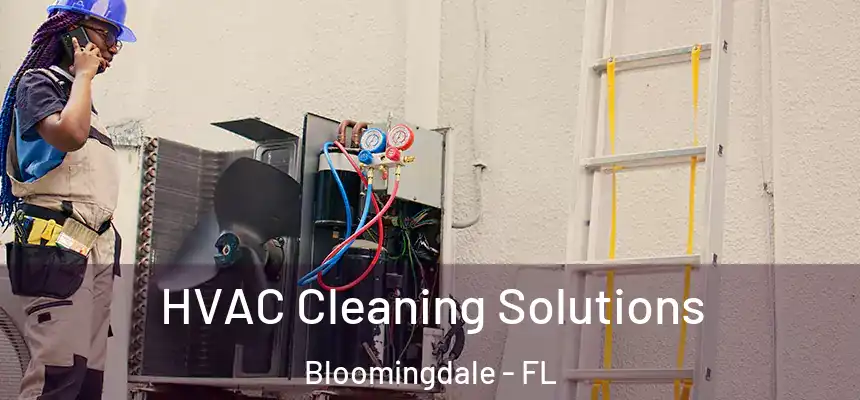 HVAC Cleaning Solutions Bloomingdale - FL