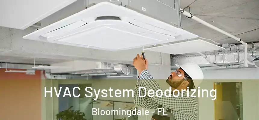 HVAC System Deodorizing Bloomingdale - FL