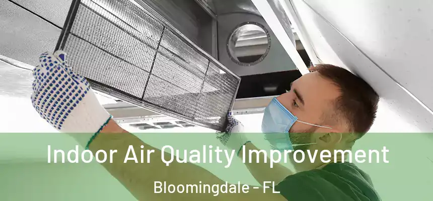 Indoor Air Quality Improvement Bloomingdale - FL