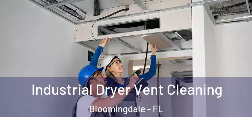 Industrial Dryer Vent Cleaning Bloomingdale - FL