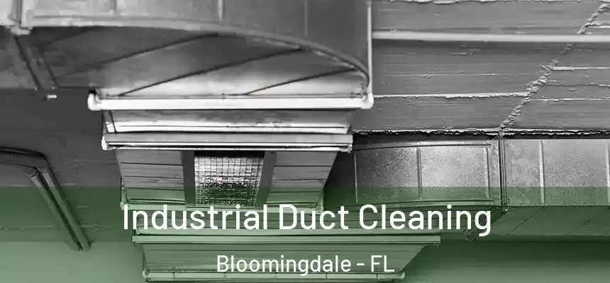  Industrial Duct Cleaning Bloomingdale - FL
