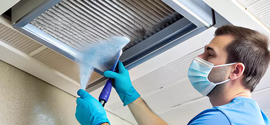 Proactive Dryer Vent & Auxiliary Duct Pollen Cleanup in Bloomingdale, FL