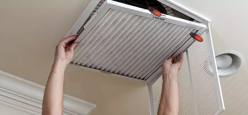Our Insect Removal from Air Ducts Services in Bloomingdale, FL
