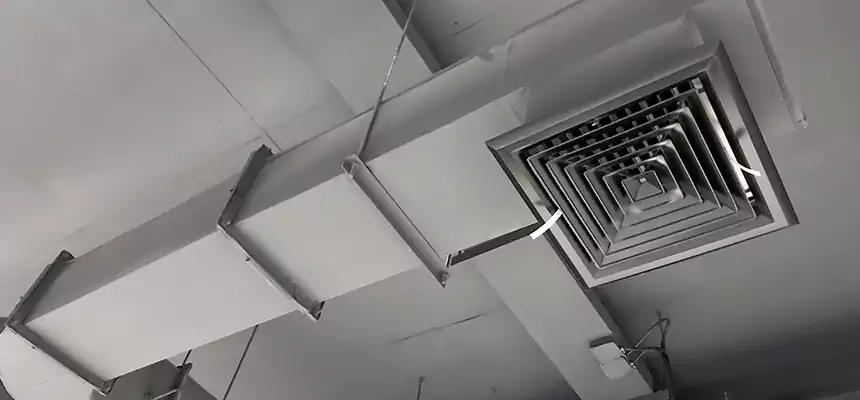 Our Pest Removal From Ducts Services in Bloomingdale, FL