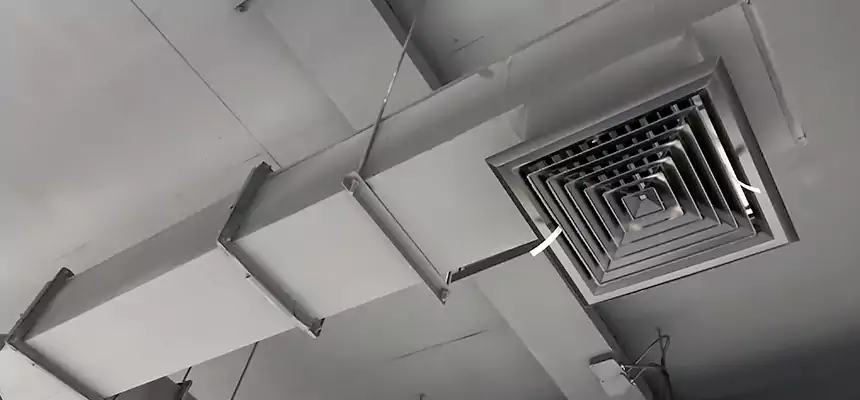 Our Rodent Droppings In Vents Services in Bloomingdale, FL