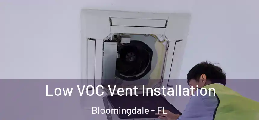 Low VOC Vent Installation Bloomingdale - FL