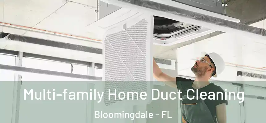 Multi-family Home Duct Cleaning Bloomingdale - FL