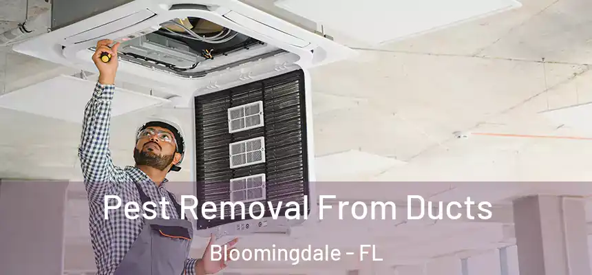 Pest Removal From Ducts Bloomingdale - FL