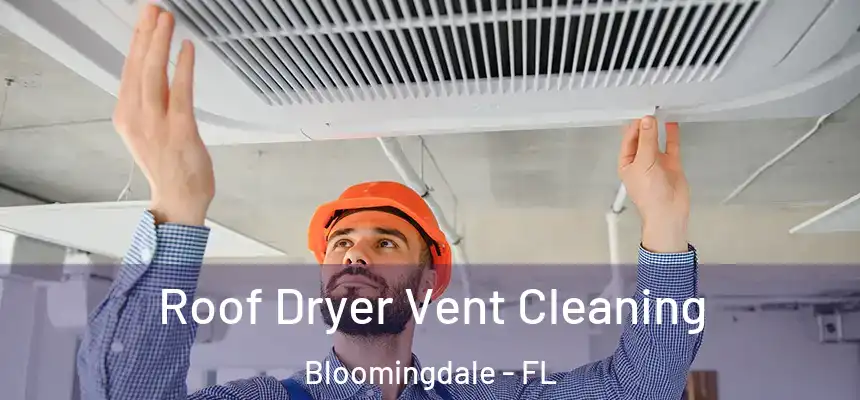 Roof Dryer Vent Cleaning Bloomingdale - FL
