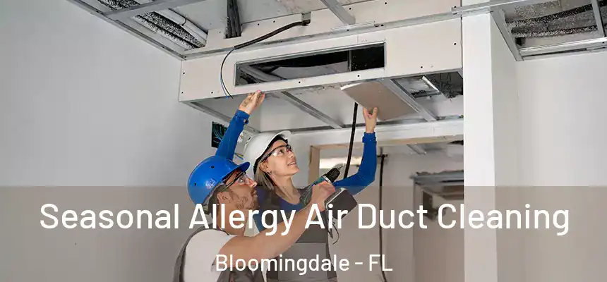 Seasonal Allergy Air Duct Cleaning Bloomingdale - FL