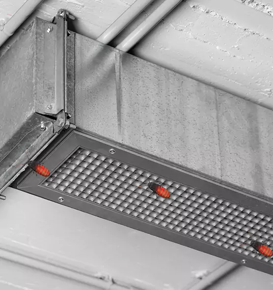 About Air Duct Cockroach Removal in Bloomingdale, FL