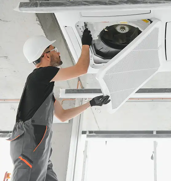 About Air Duct Rodent Removal in Bloomingdale, FL