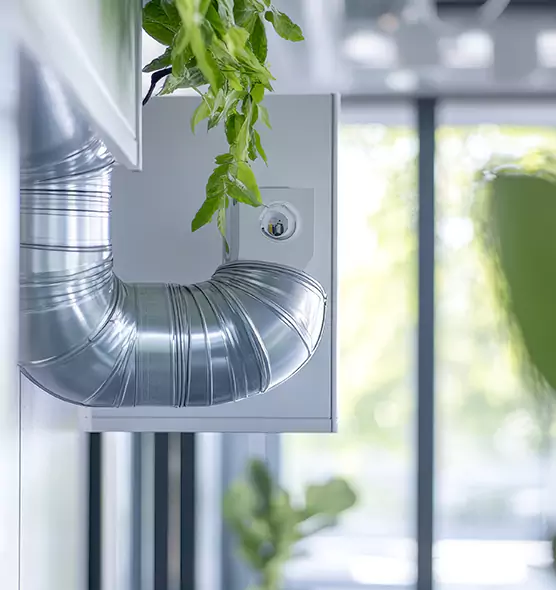 Professional Eco-Friendly Duct Cleaning Services in Bloomingdale, FL