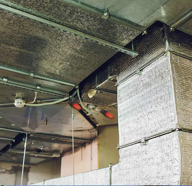 Why Homeowners & Businesses Trust Us in Bloomingdale, FL?