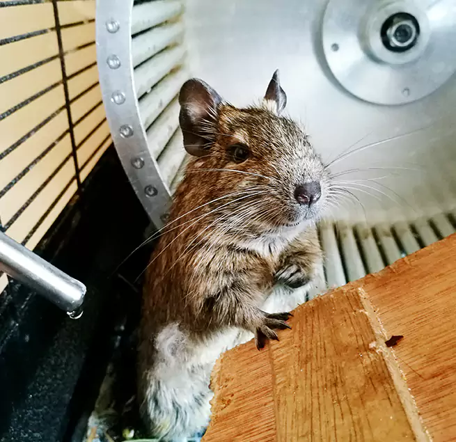 Why Homeowners & Businesses Trust Us Bloomingdale, FL