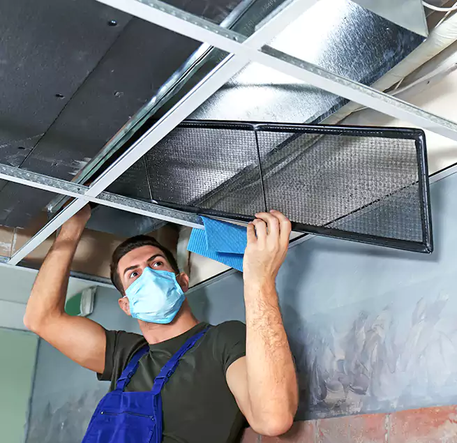 Why Homeowners Businesses Trust Us in Bloomingdale, FL